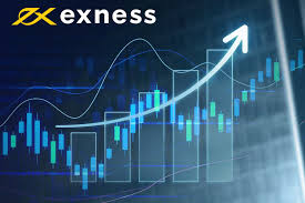 Comprehensive Guide to Exness Educational Resources Comprehensive Guide to Exness Educational Resources